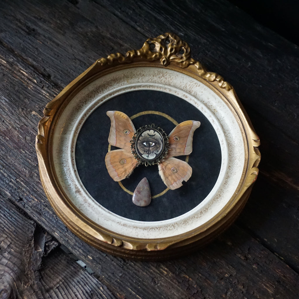 Carpe Noctem Watercolour and Silk moth